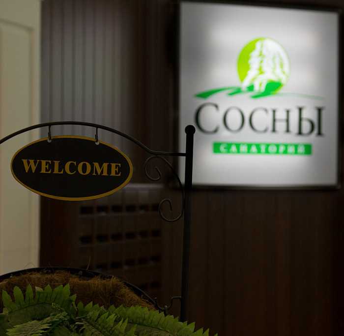 Хвойная тамбов. Сосны Тамбов. Сосны бассейн Тамбов. Санаторий сосны Тамбовская область. Лагерь сосны Тамбов.